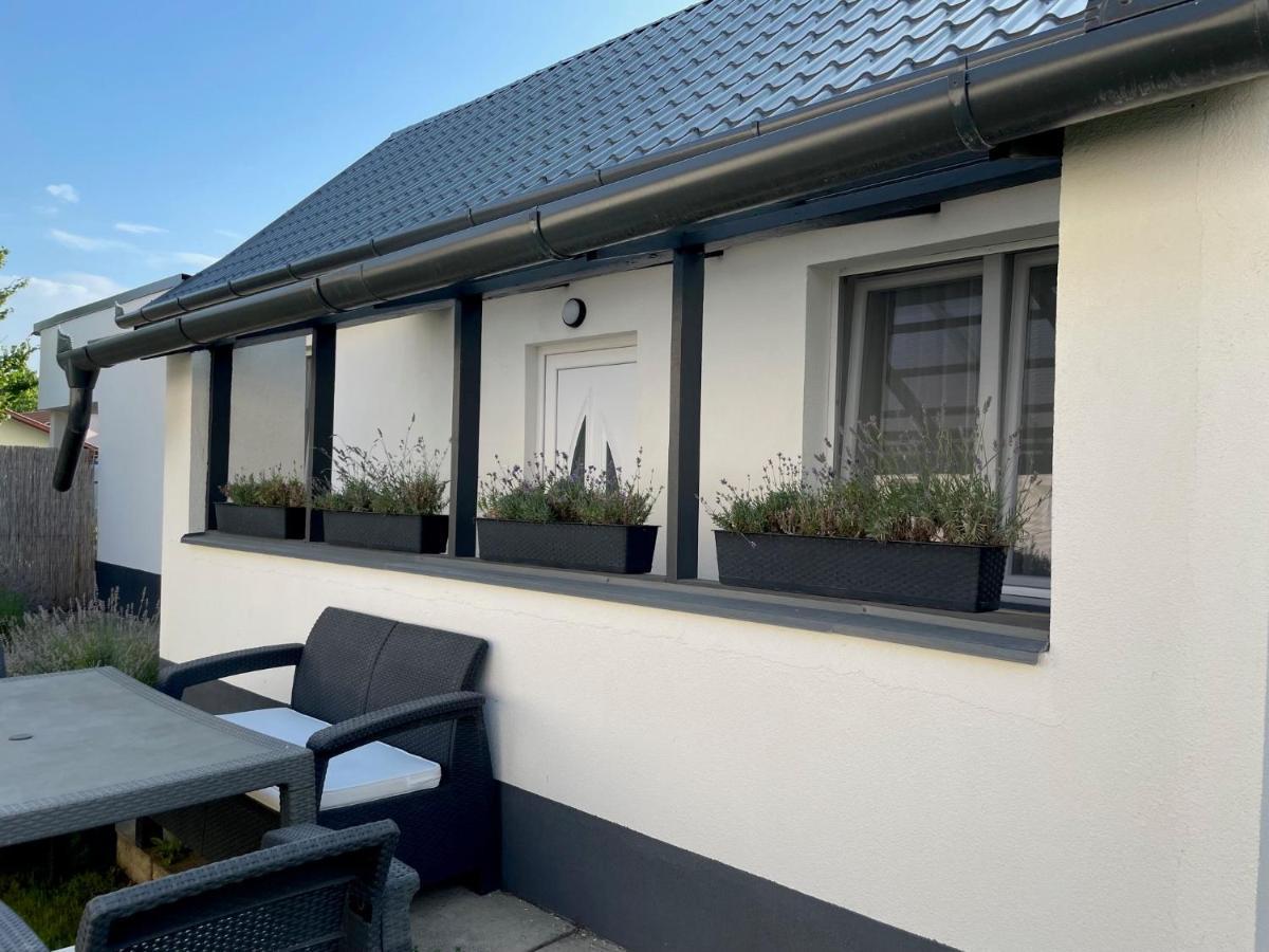 Lavender Garden Apartment Ντέμπρετσεν Εξωτερικό φωτογραφία